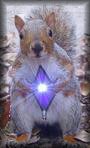squirrel_light