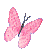 pink_butterfly